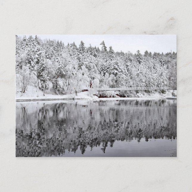 Postal Puente del puerto del río Negro, Michigan (Anverso)