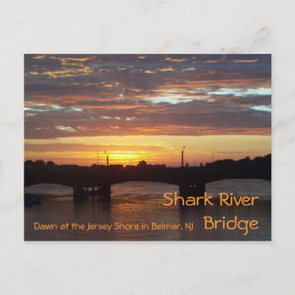 Postal Puente del río Shark