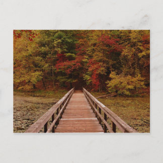 Postal Puente en la montaña Bays