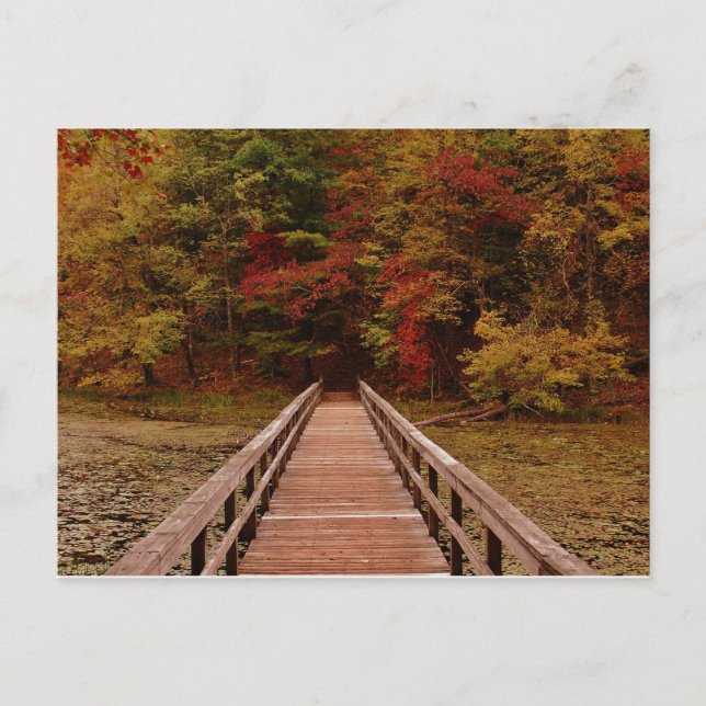 Postal Puente en la montaña Bays (Anverso)