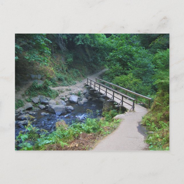 Postal Puente en las cataratas de Latourell, Oregón (Anverso)