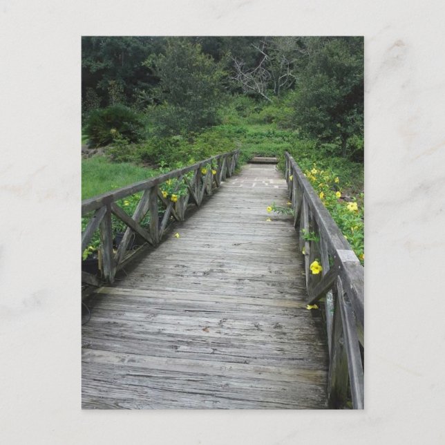 Postal Puente en los jardines de Bellingrath (Anverso)