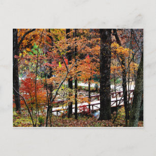 Postal Puente en otoño con hojas de árboles caídas / Escé