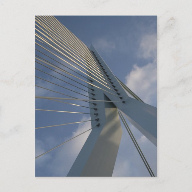 Postal Puente Erasmus, Rotterdam (Anverso)