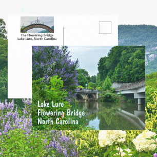 Postal Puente Florido Lake Lure Carolina del Norte Foto