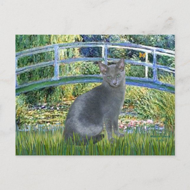 Postal Puente - gato azul ruso 2 (Anverso)