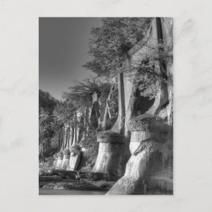 Postal Puente Interurbano