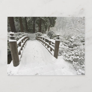 Postal Puente lunar cubierto de nieve, Jardín Japonés