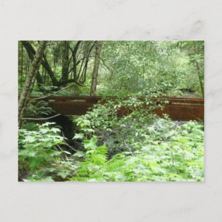 Postal Puente Muir Woods I