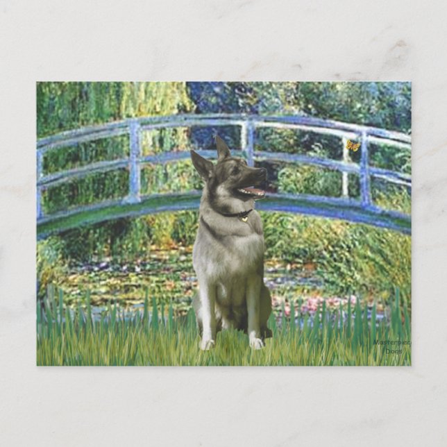 Postal Puente - Norwegian Elkhound (Anverso)