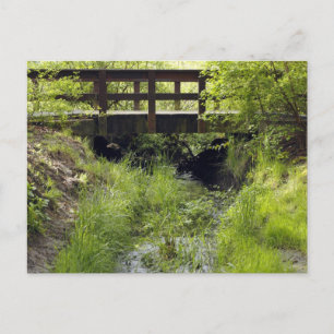Postal Puente peatonal sobre un arroyo