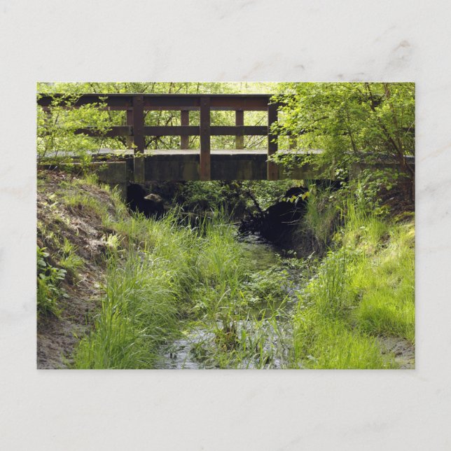 Postal Puente peatonal sobre un arroyo (Anverso)