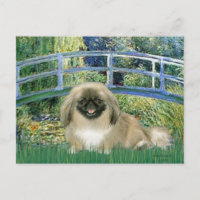 Puente - Pekingese 1b