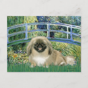 Postal Puente - Pekingese 1b