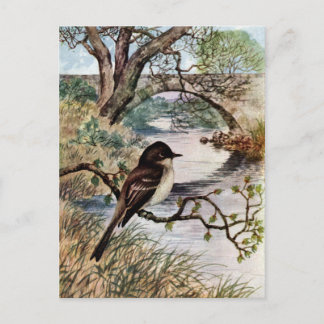 Postal Puente Phoebe y Stone sobre Creek