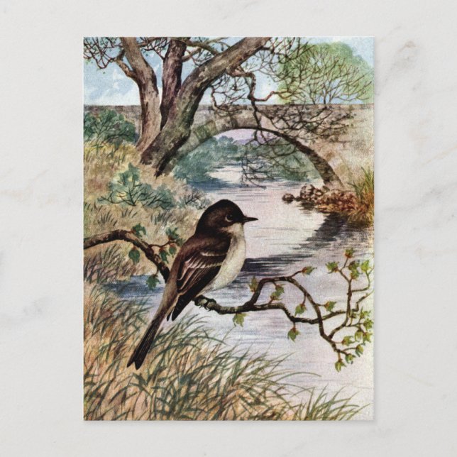 Postal Puente Phoebe y Stone sobre Creek (Anverso)