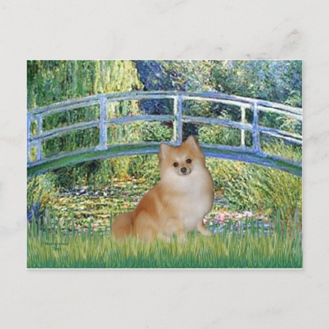 Postal Puente Pomeranian 3 (Anverso)
