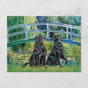 Postal Puente - Retriever de capa plana (dos)
