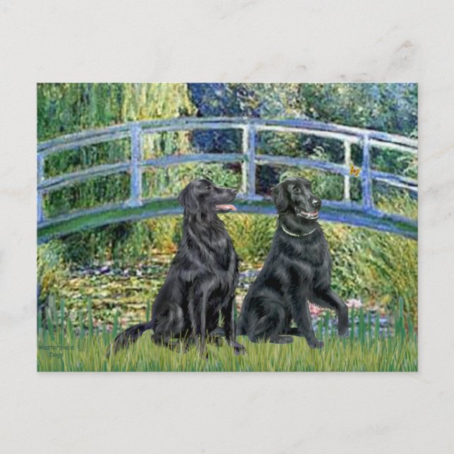 Postal Puente - Retriever de capa plana (dos) (Anverso)
