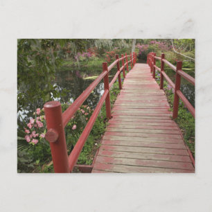 Postal Puente rojo sobre estanque, Magnolia Plantation,