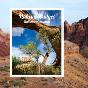Postal Puente Sipapu, Monumento Nacional de los Puentes N