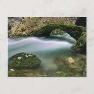 Postal Puente sobre agua turbulenta