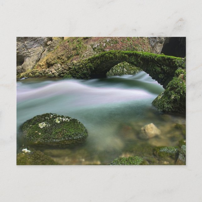 Postal Puente sobre agua turbulenta (Anverso)