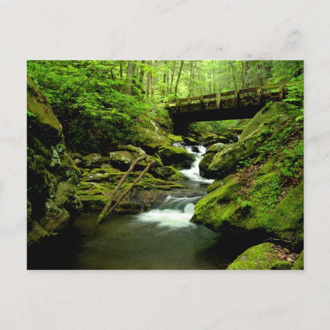 Postal Puente sobre bifurcación (Anverso)