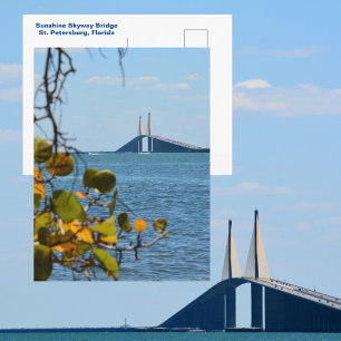 Postal Puente Sunshine Skyway de Tampa Bay Fotográfico