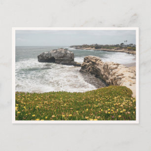 Postal Puentes Naturales de Santa Cruz California Flores