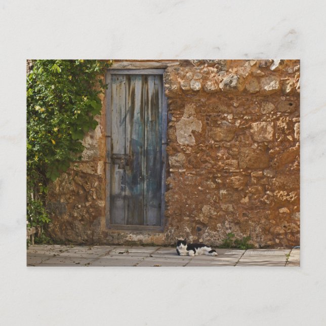 Postal Puerta antigua y gato en reposo (Anverso)