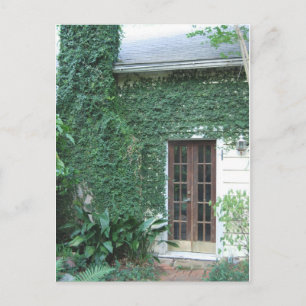 Postal Puerta del jardín ©2008