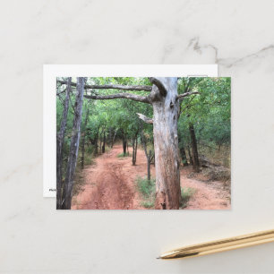 Postal Puerta y Ruta de la Naturaleza de Postcard