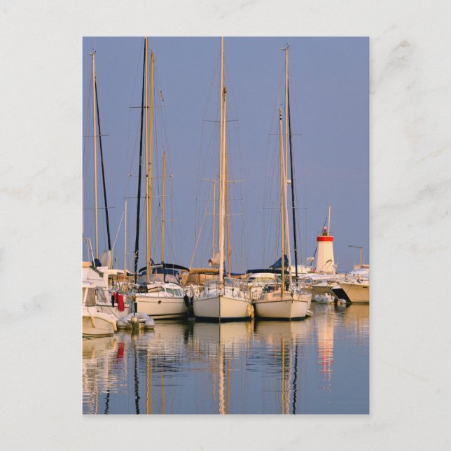 Postal Puerto de Hyères les Palmiers (Anverso)