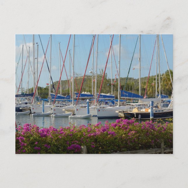 Postal Puerto de Yate Virgin Gorda (Anverso)