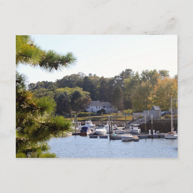 Postal Puerto Deportivo del Barco de Agua Azul de bonito (Anverso)