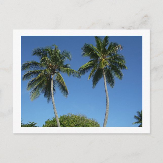 Postal Puerto Rico (Anverso)