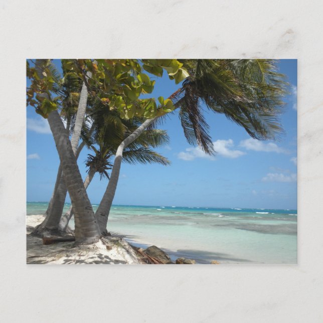 Postal Puerto Rico (Anverso)