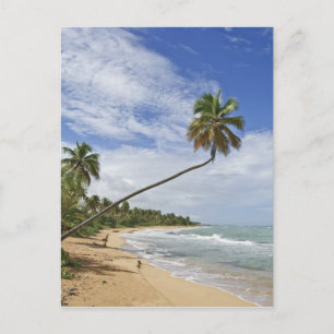 Postal Puerto Rico. Playa de Tres Palmitas Puerto Rico