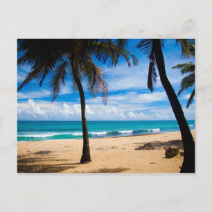 Postal Puerto Rico - Playa del Condado
