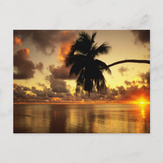 Postal Puerto Vallarta