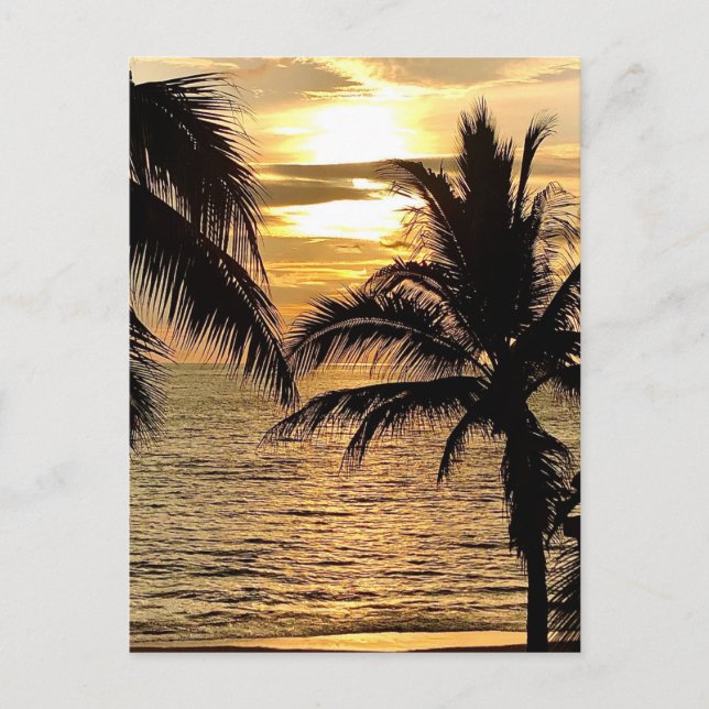 Postal Puerto Vallarta Golden Summer Sunset (Anverso)
