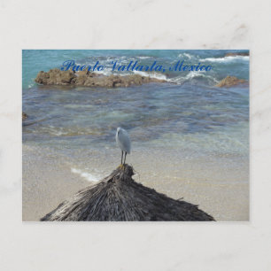 Postal Puerto Vallarta, México. Garza Blanca