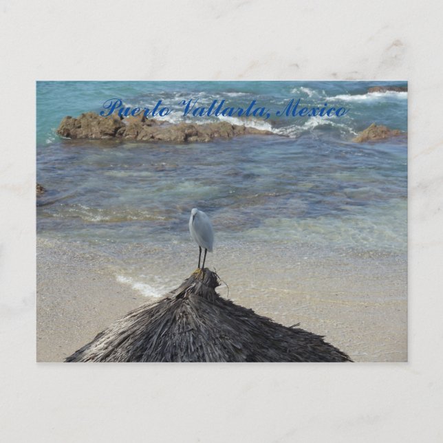 Postal Puerto Vallarta, México. Garza Blanca (Anverso)