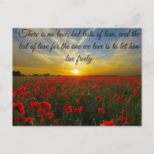 Postal puesta de sol