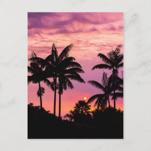 Postal Puesta de sol a través de palmeras