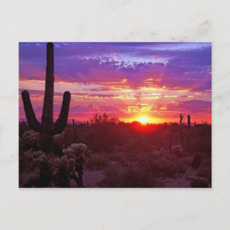 Postal puesta de sol de arizona