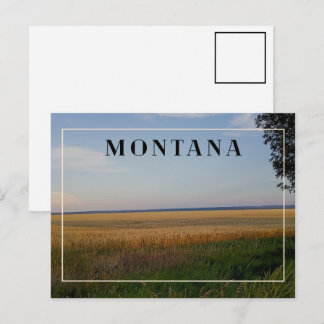 Postal Puesta de sol de trigo de Montana