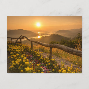 Postal Puesta de sol dorada sobre colinas en flor 