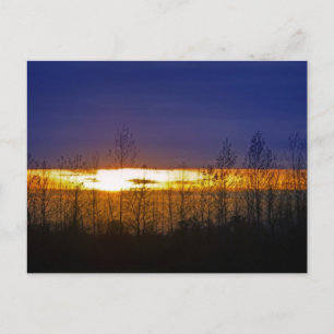 Postal Puesta de sol en árboles